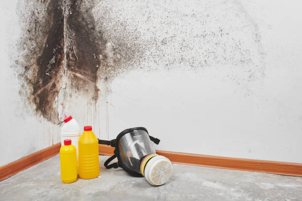 Best Crawl Space Mold Removal  in Simi Valley, CA