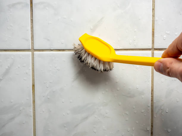 Best Mold Testing  in Simi Valley, CA