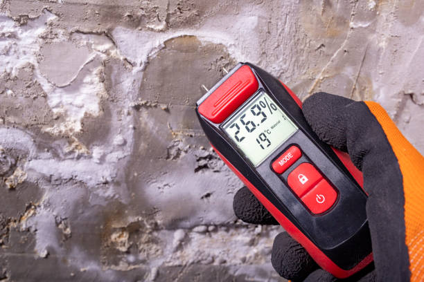 Crawl Space Mold Removal in Simi Valley, CA